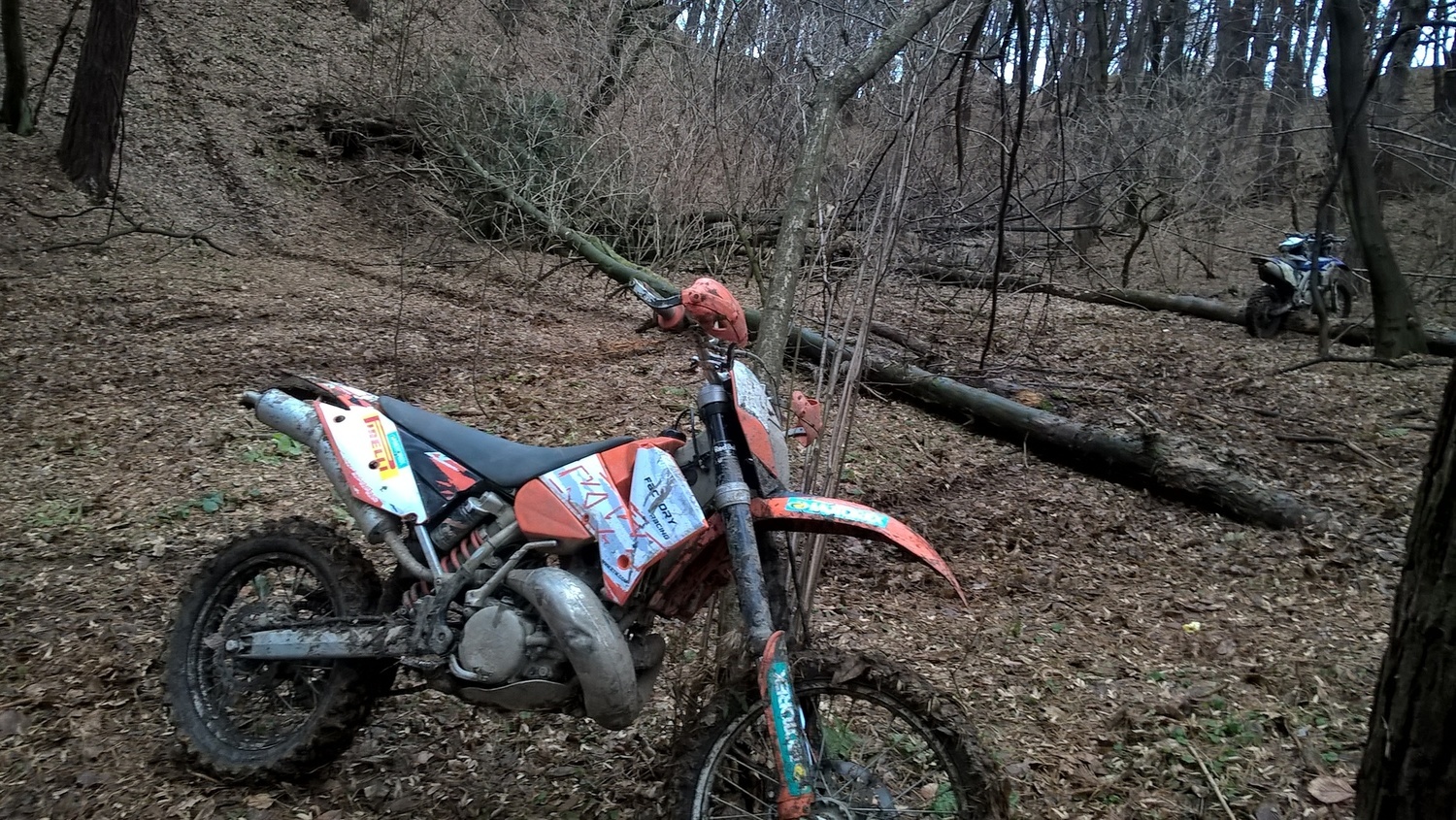Photo 2797885