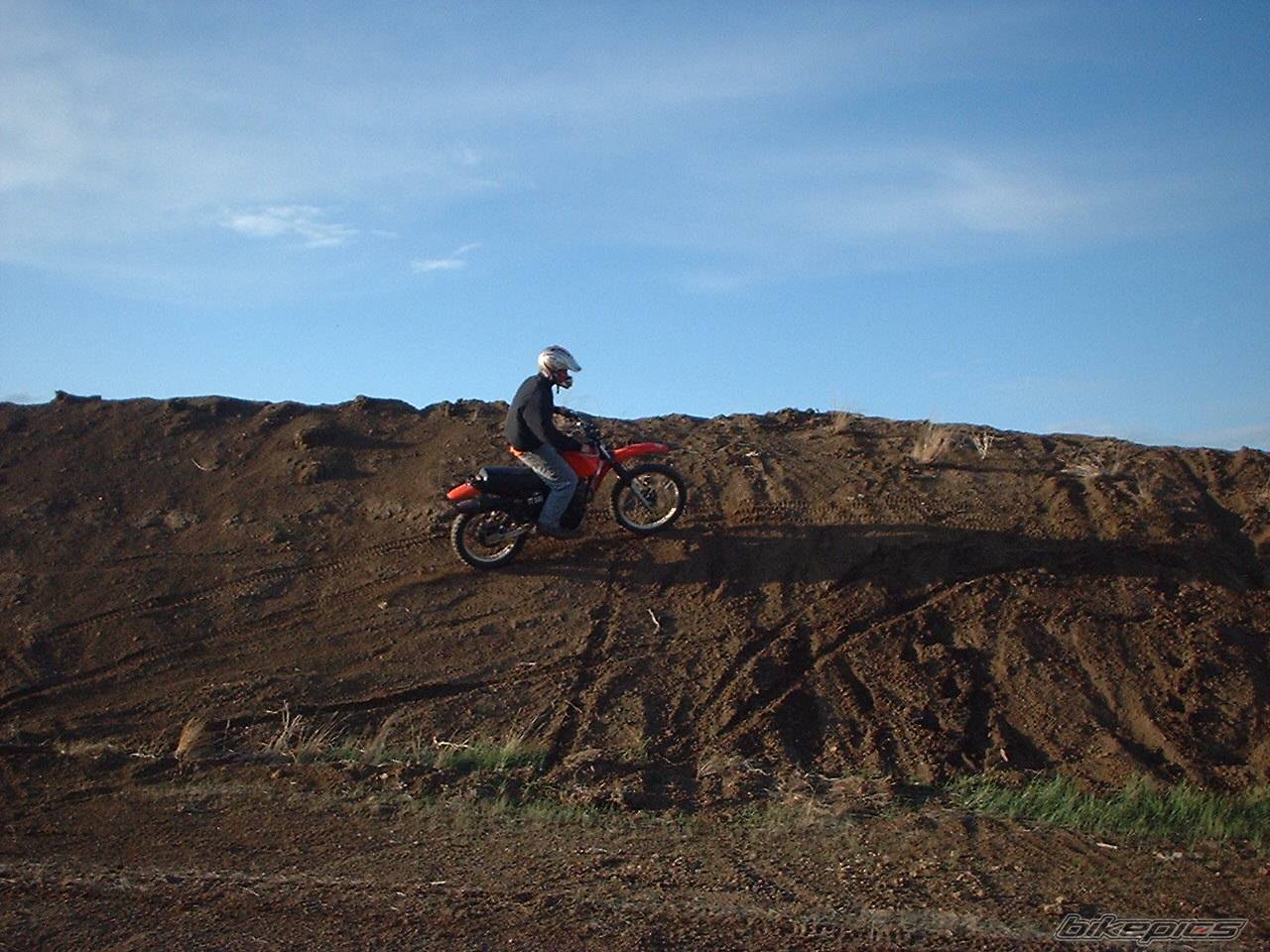 Photo 279797