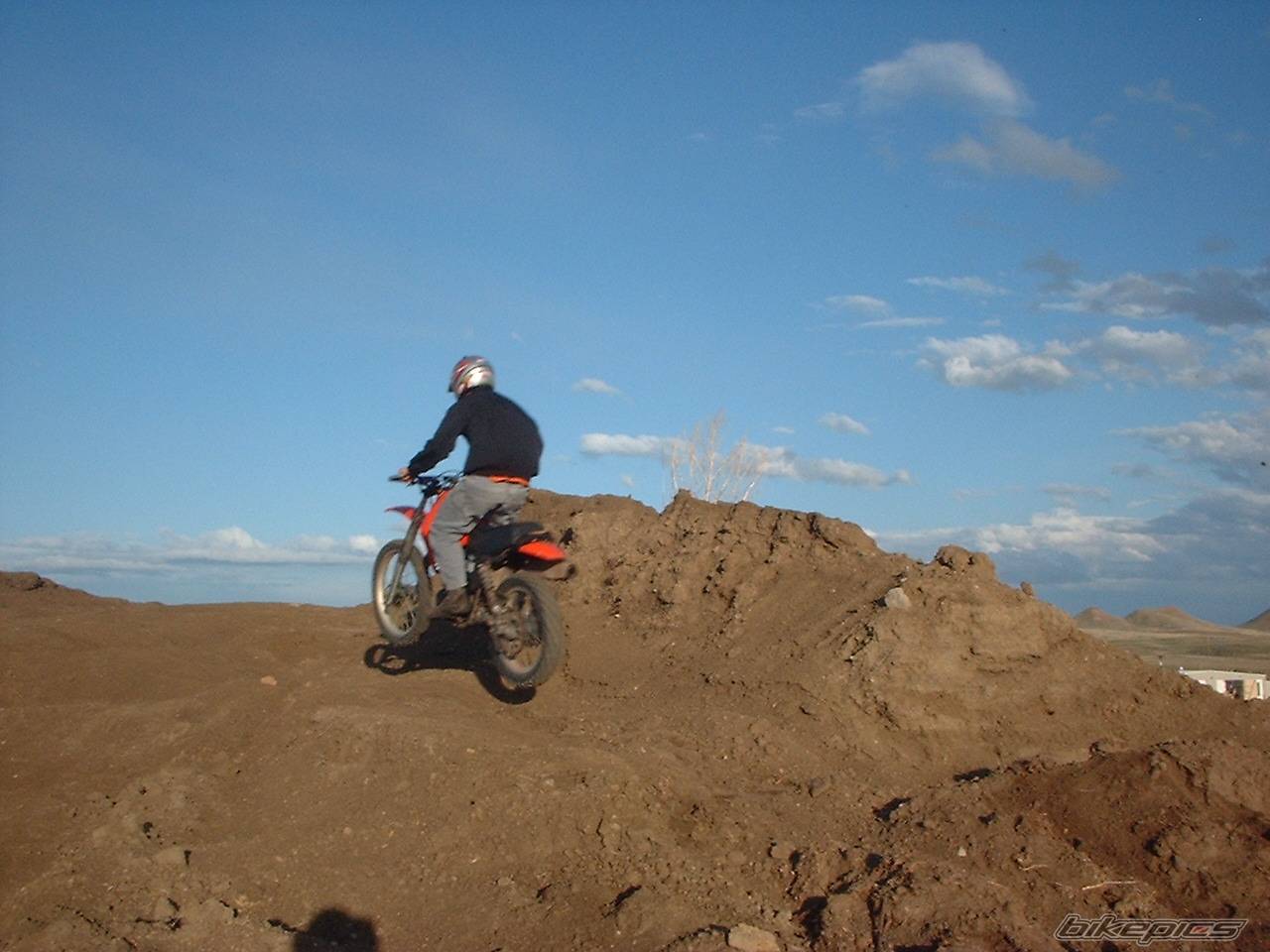Photo 279798
