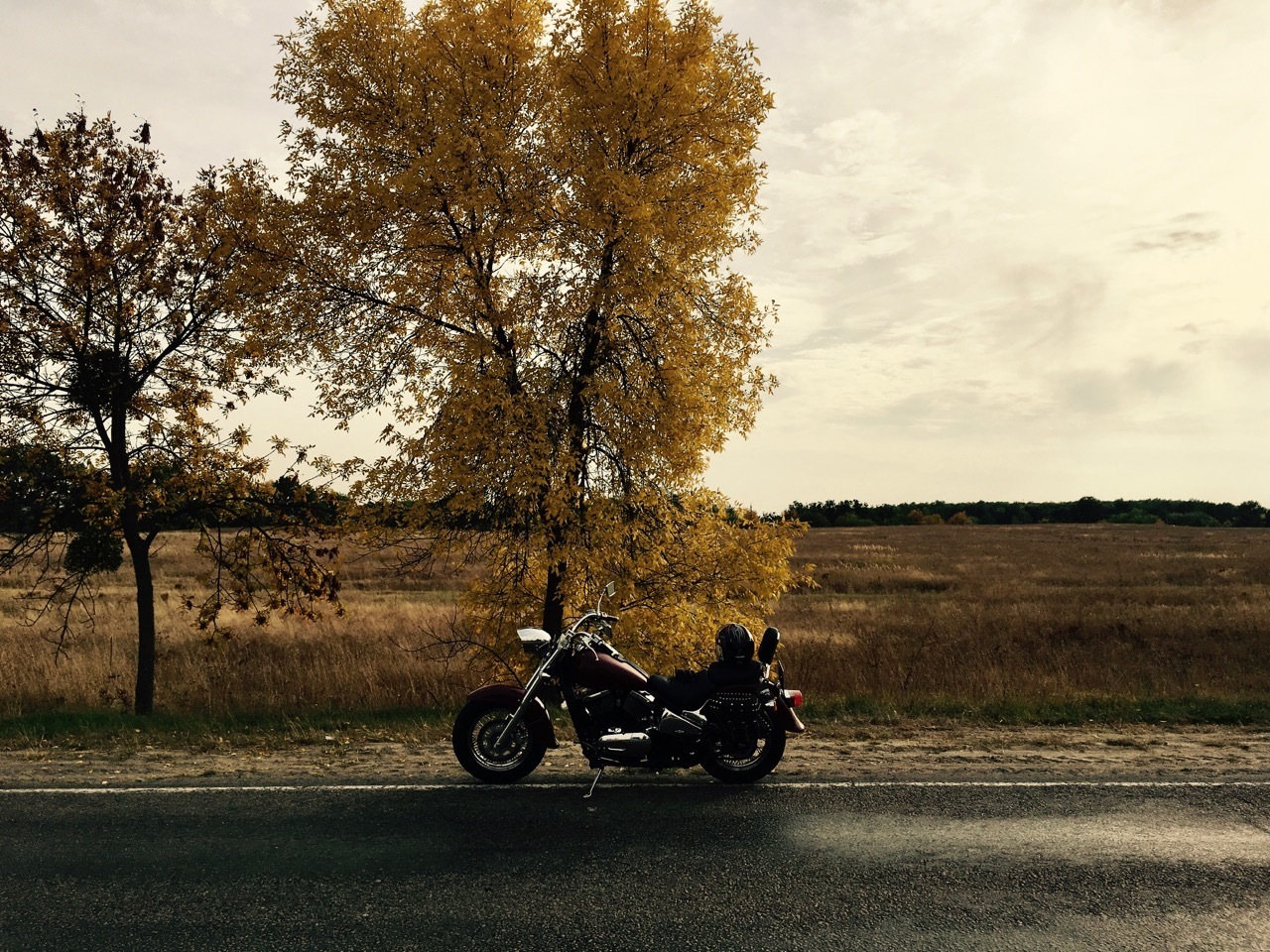 Photo 2798072