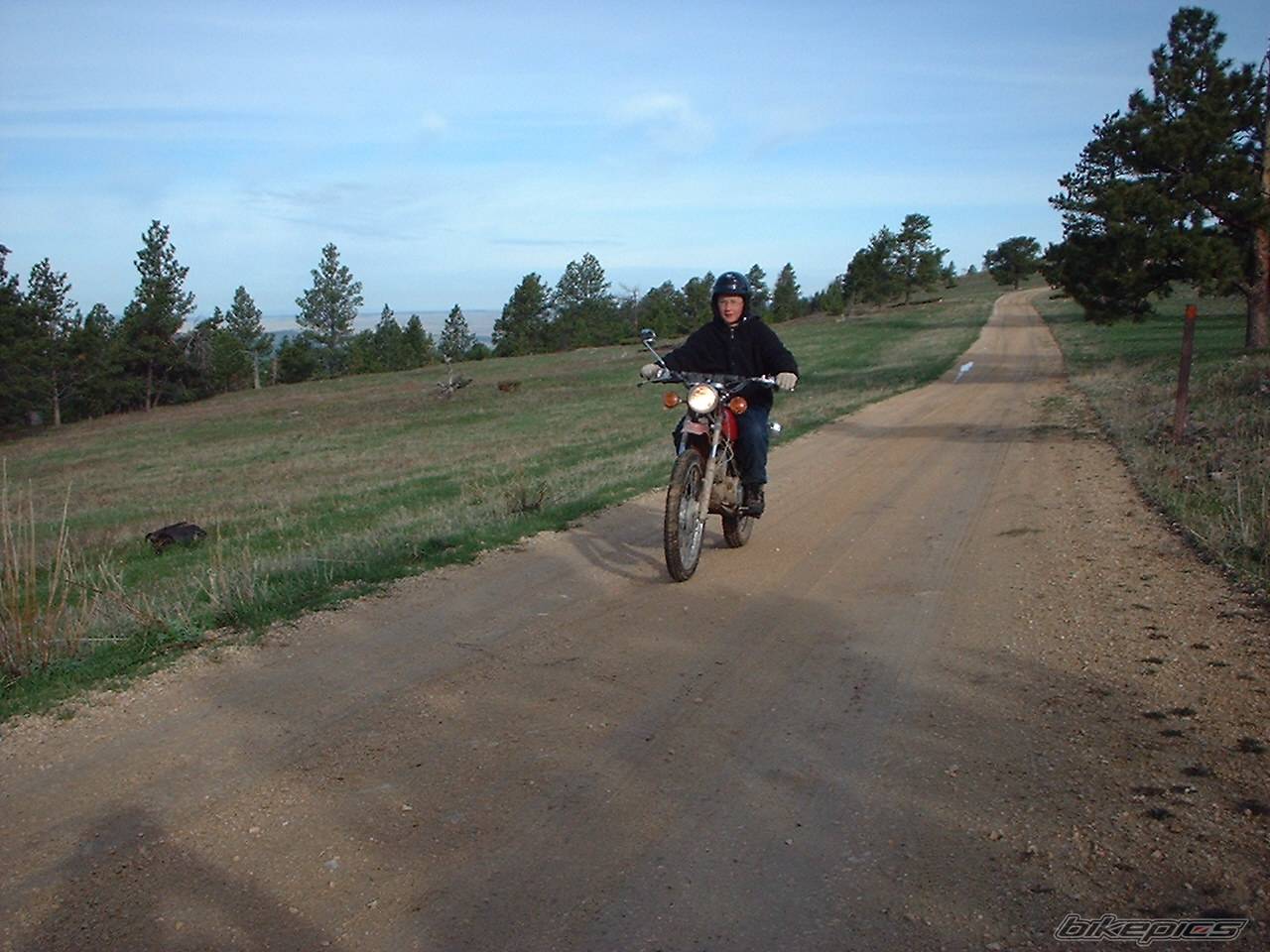 Photo 279808