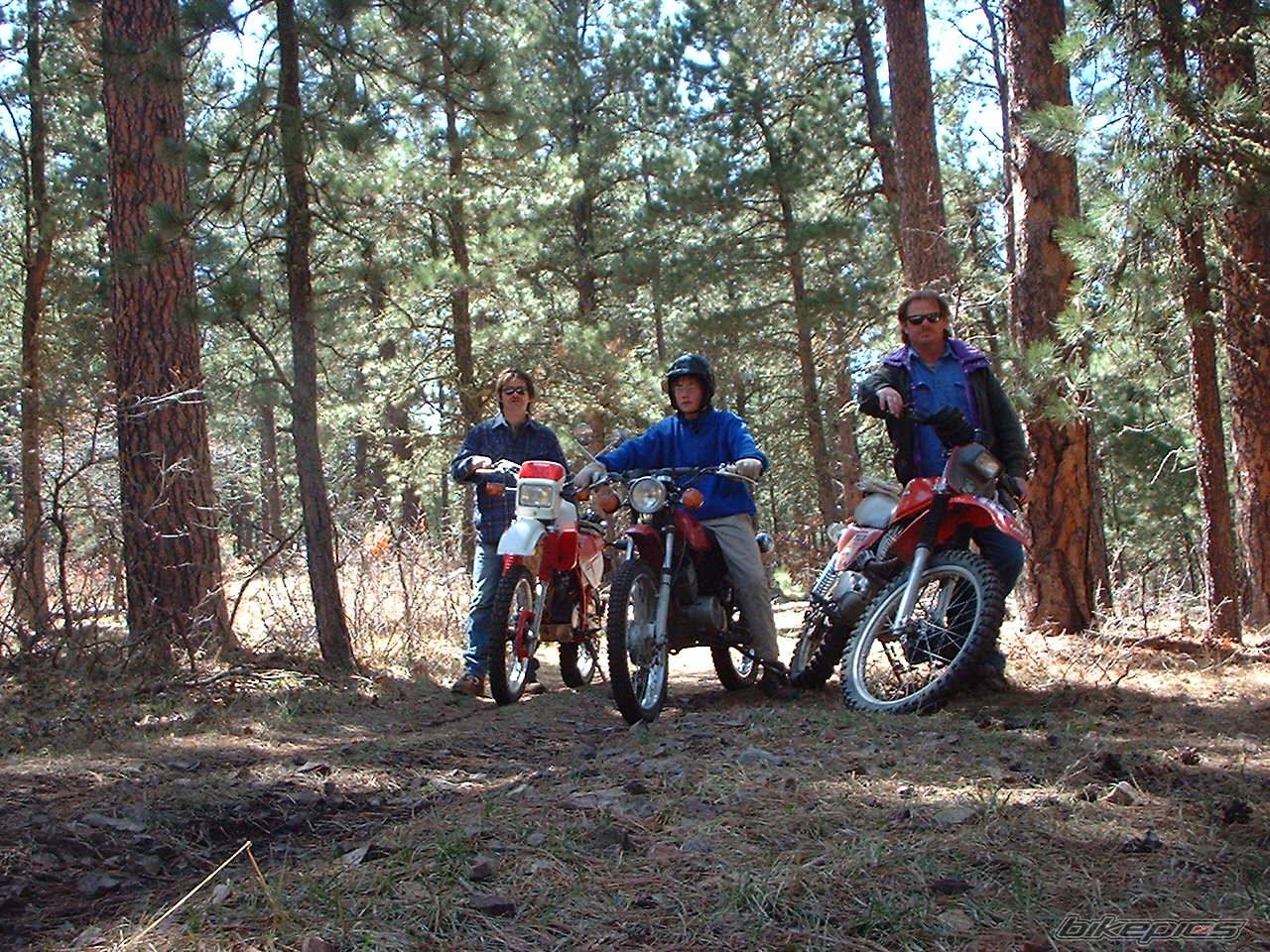 Bike Photo 279811