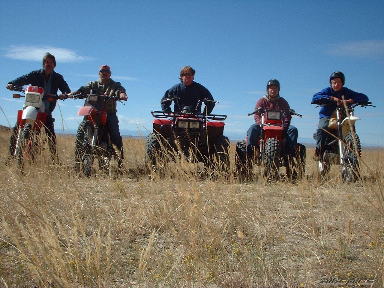 Photo 279814