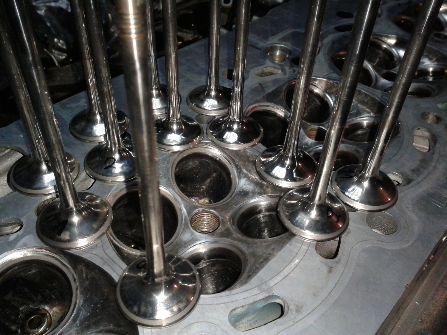 Photo 2798148
