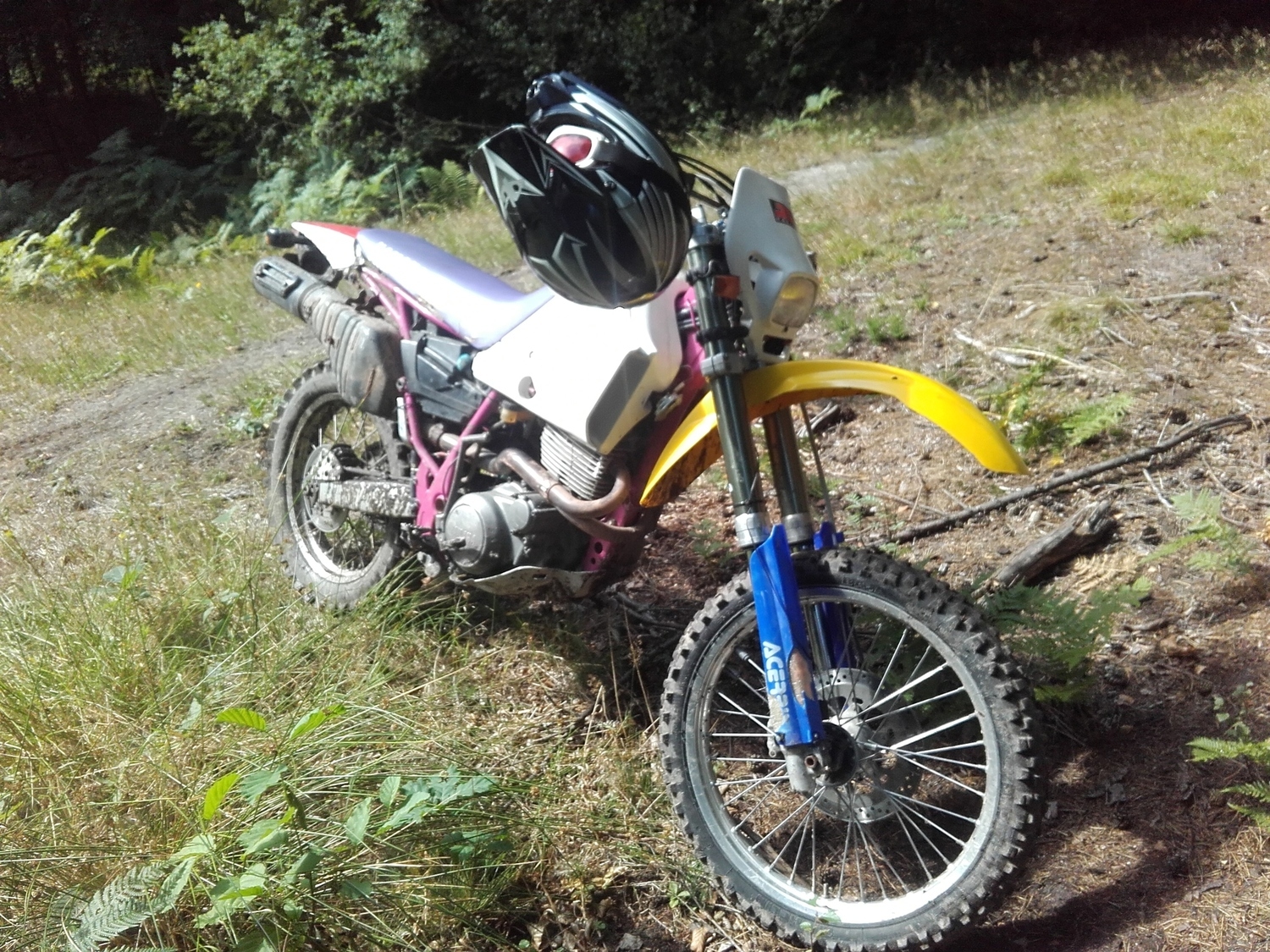 Photo 2798185