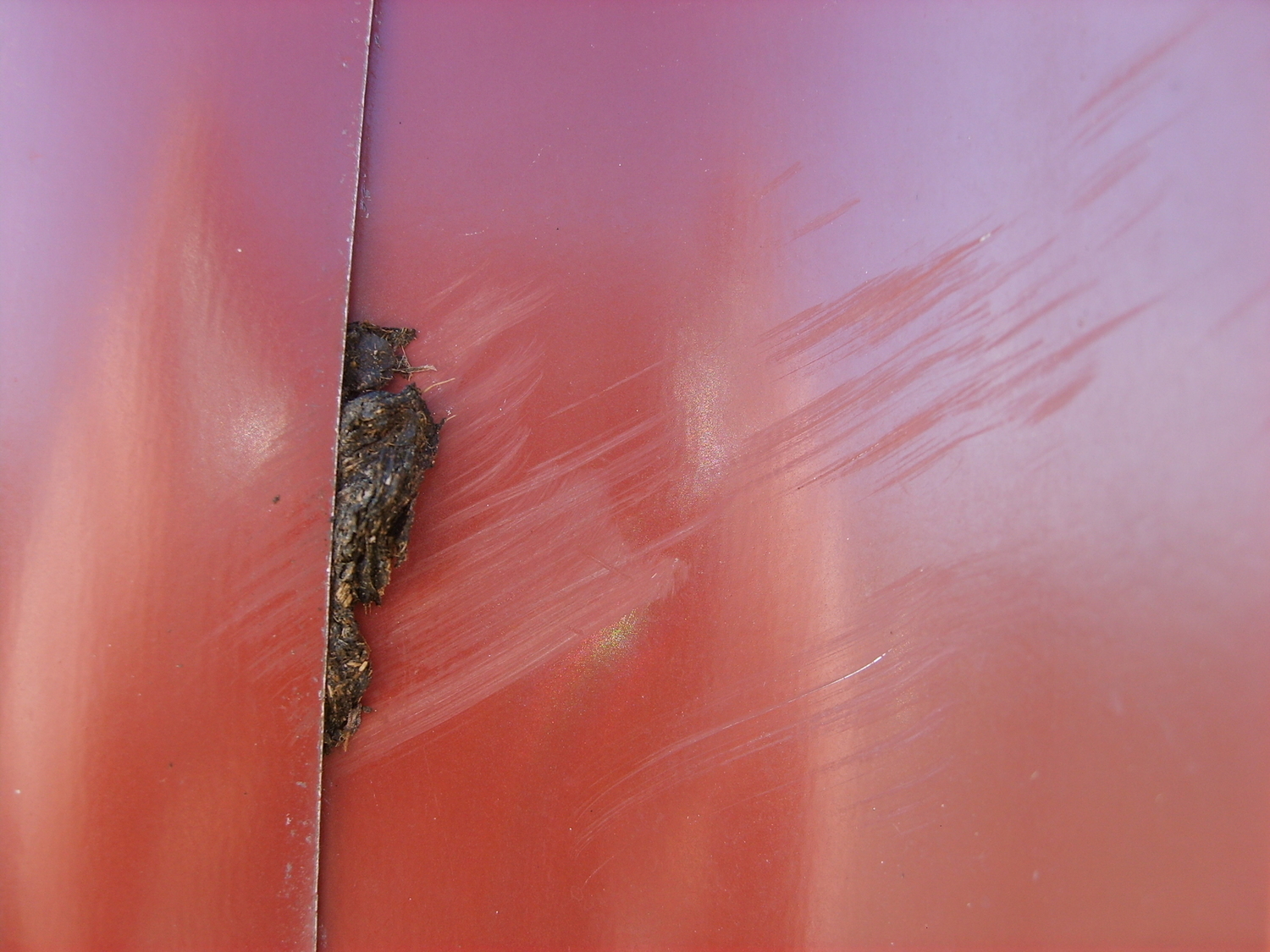 Photo 2798212