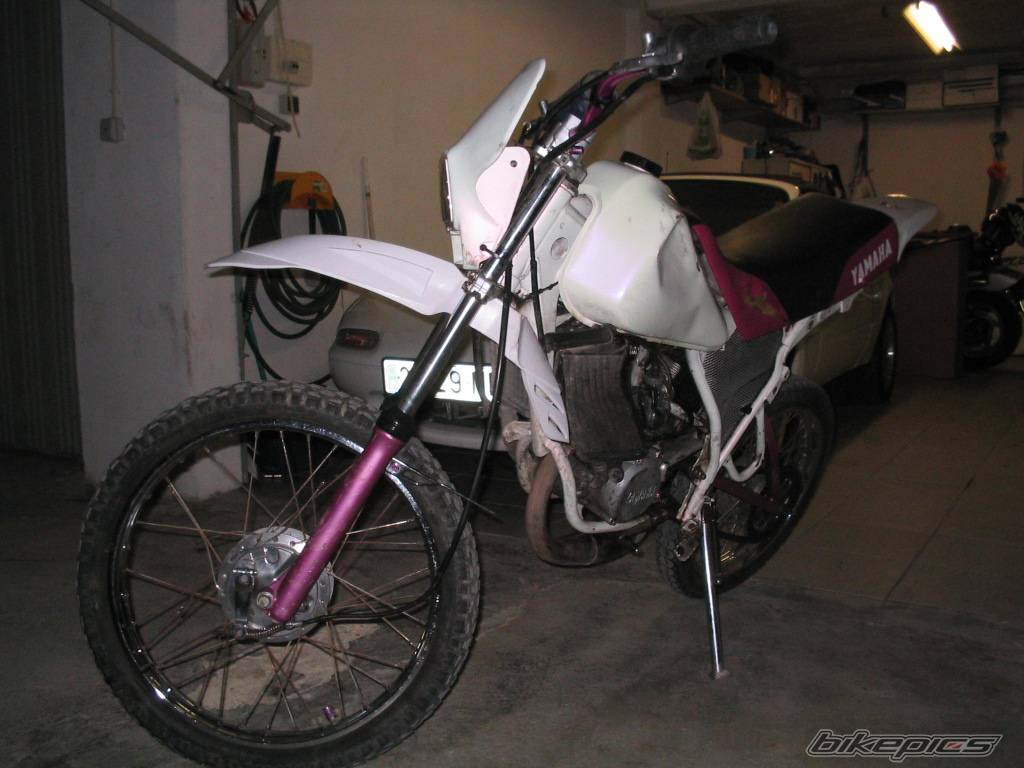 Photo 279827