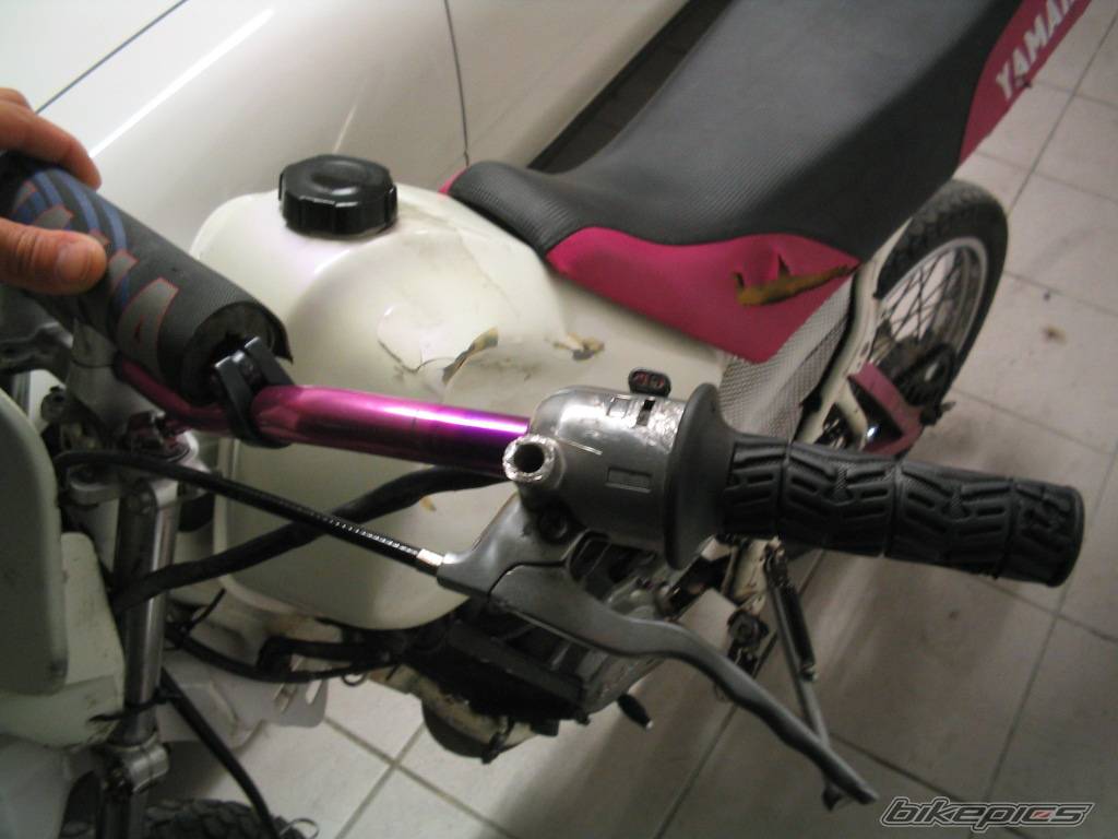 Photo 279828