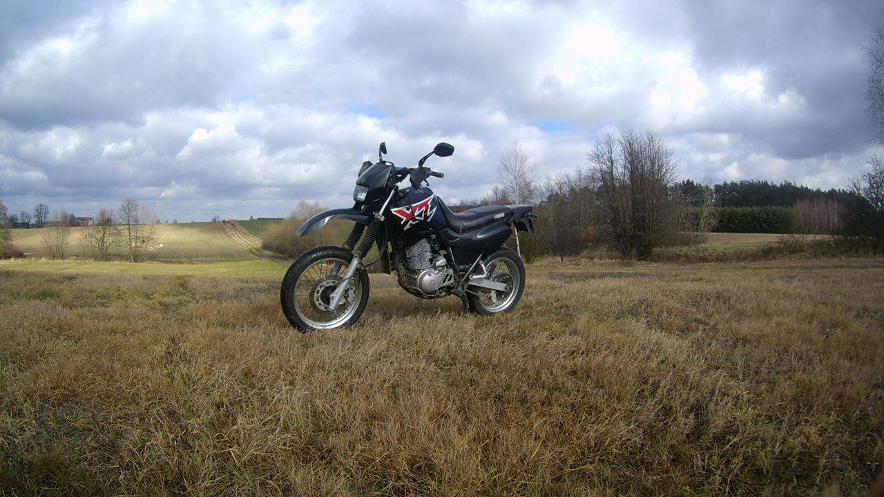 Photo 2798295