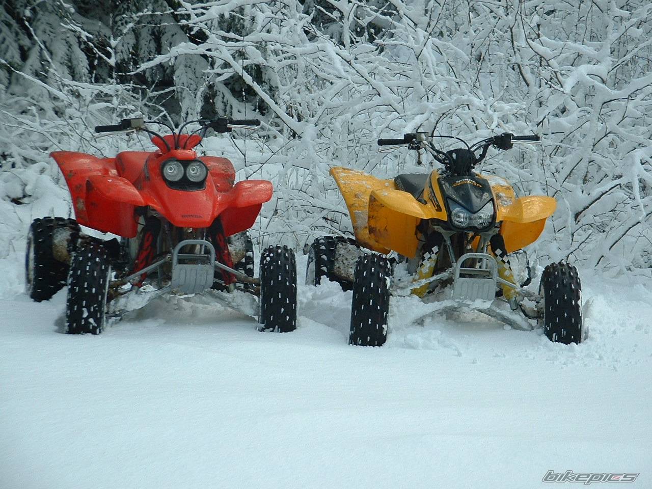 Bike Photo 279835