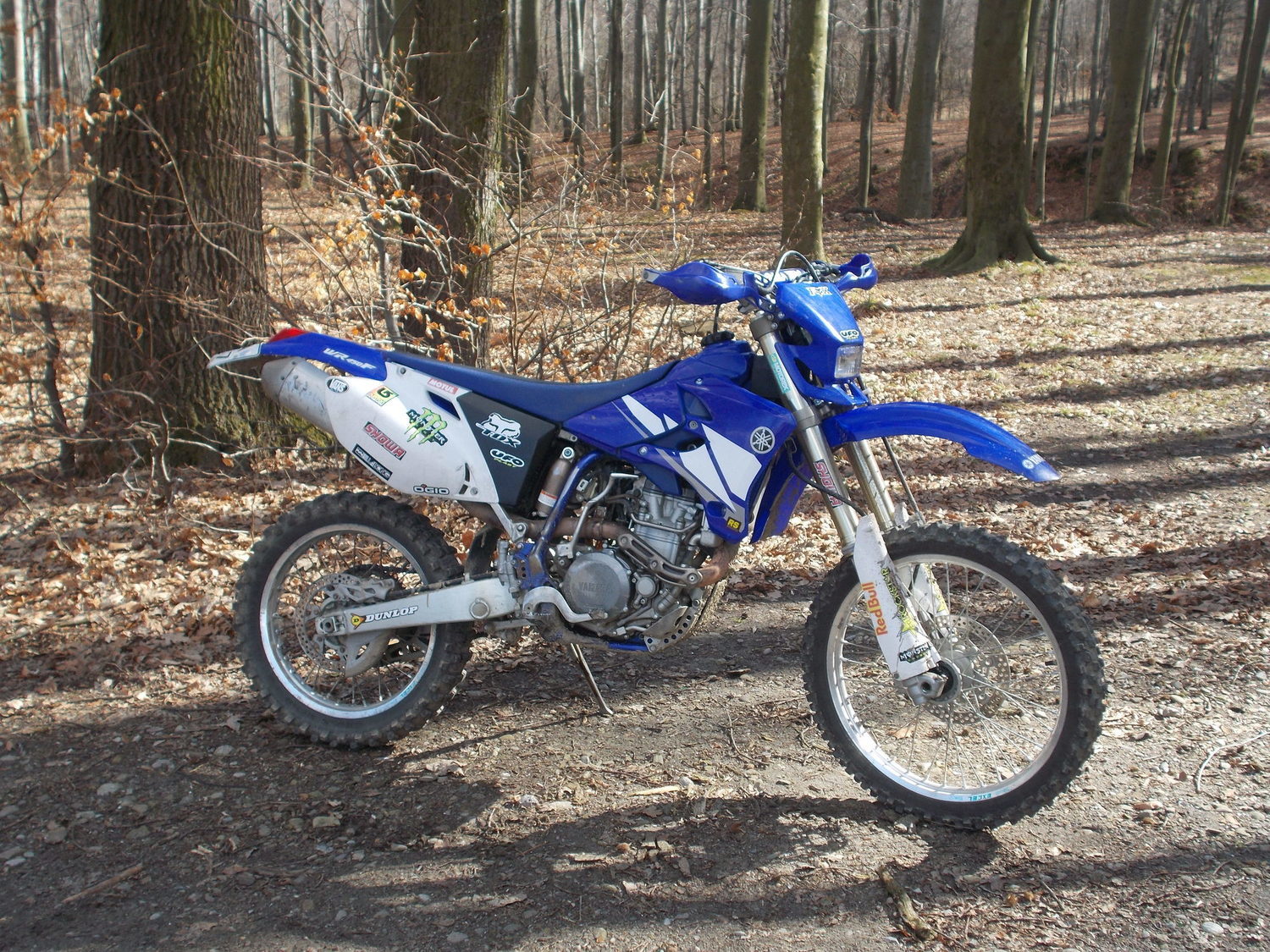 Photo 2798350