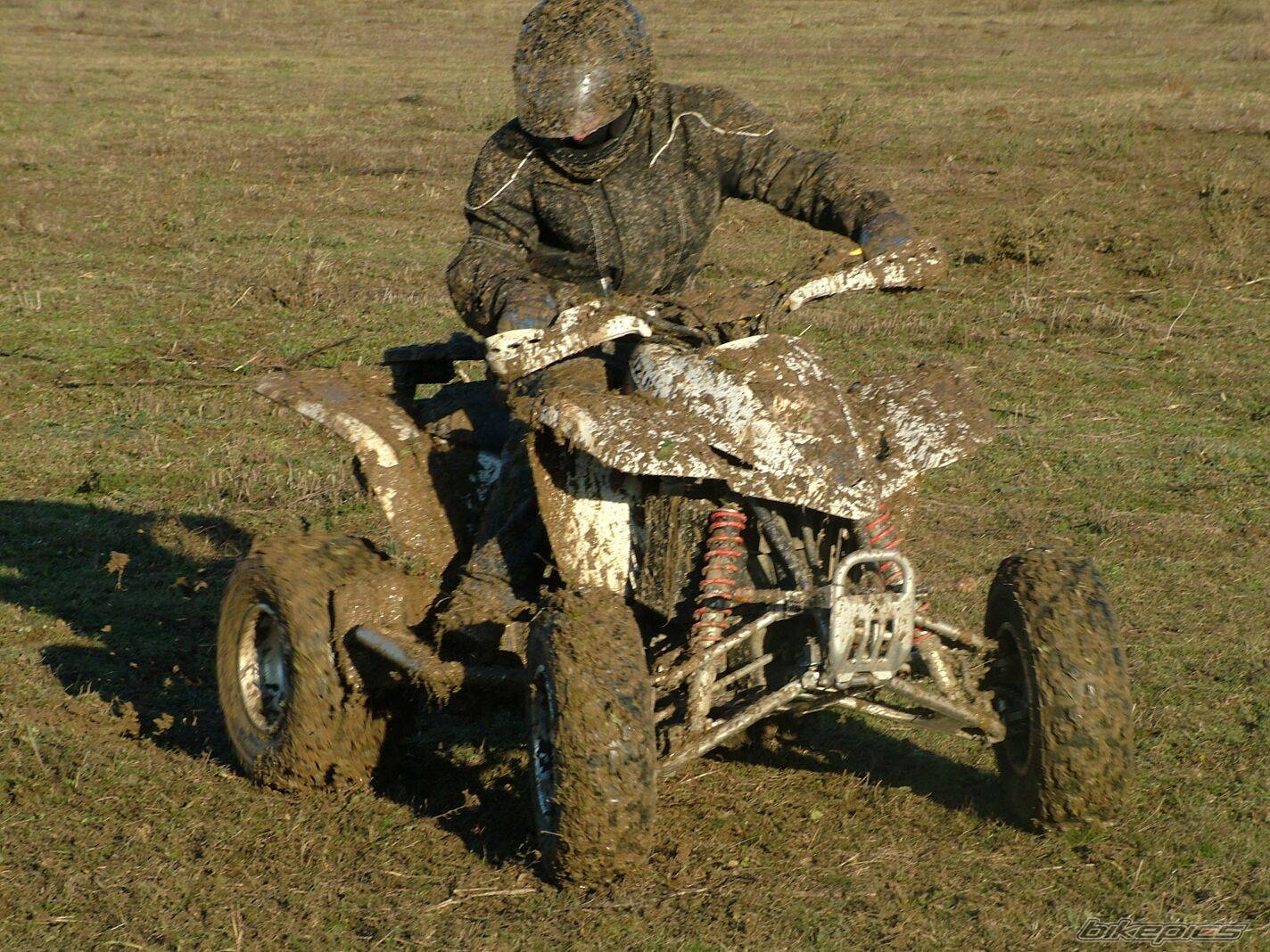 Bike Photo 279846