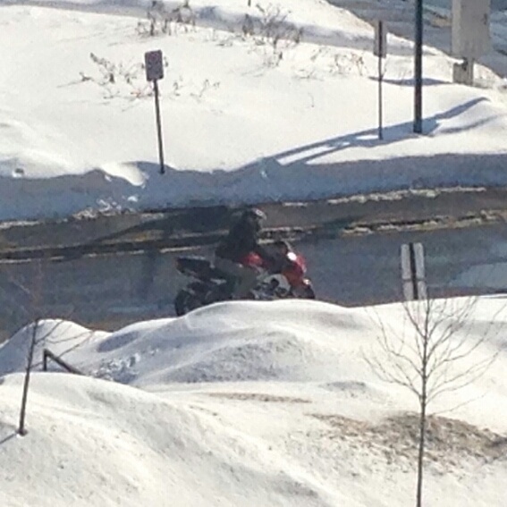 Photo 2798475