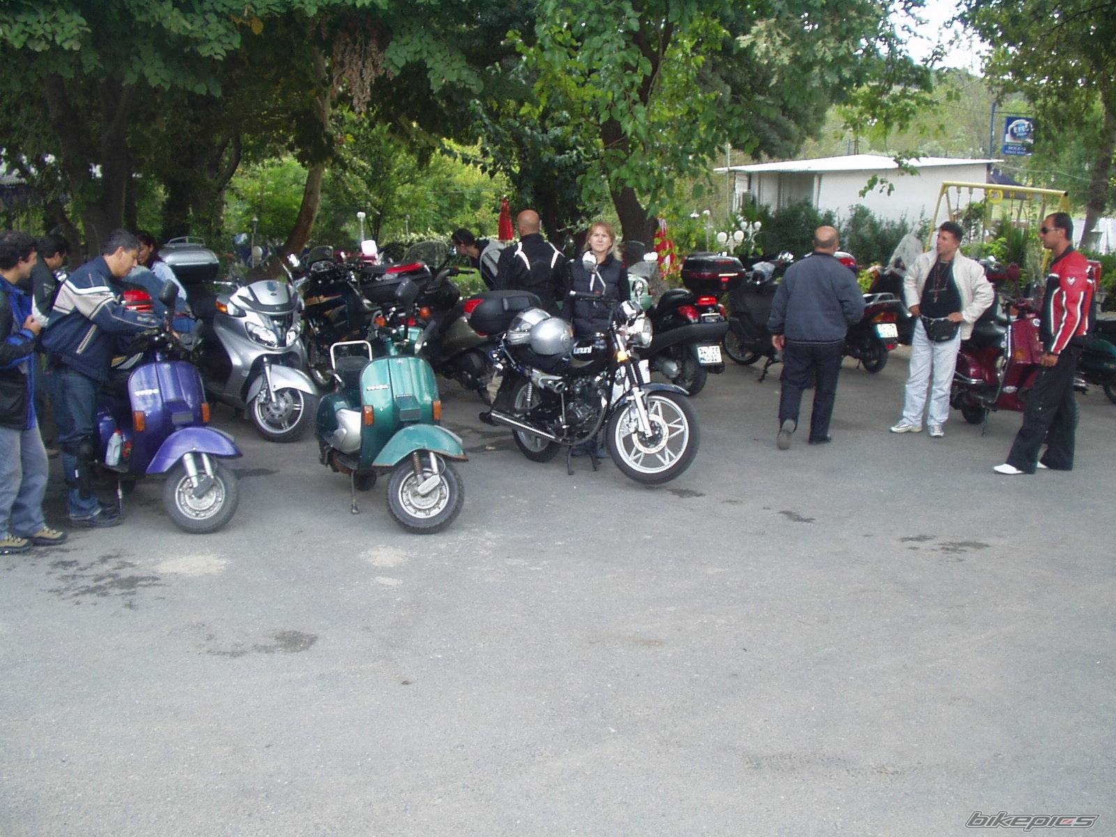 Photo 279859