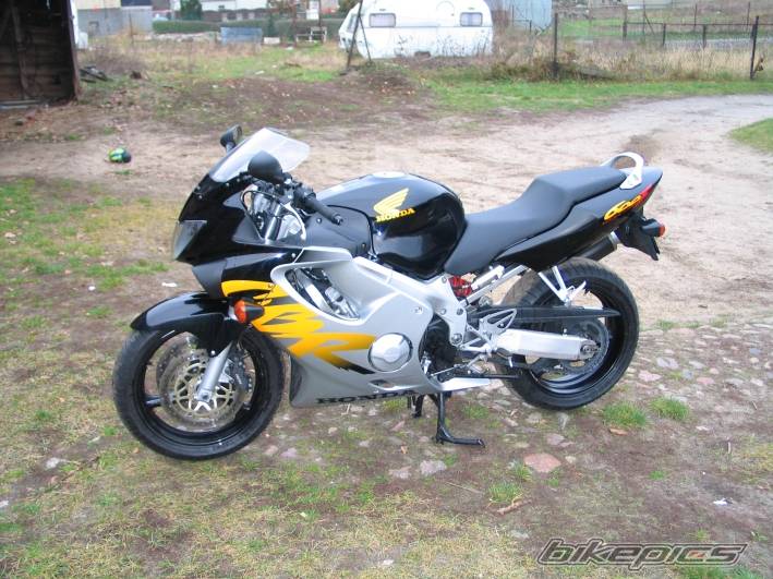 Photo 279861