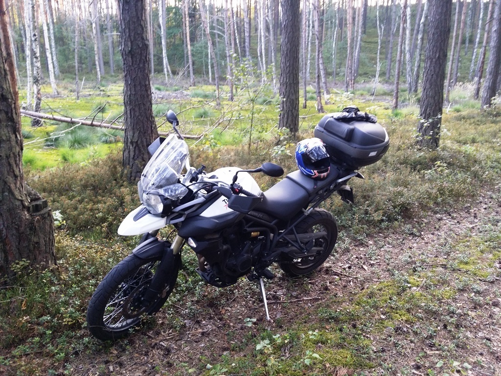 Photo 2798643