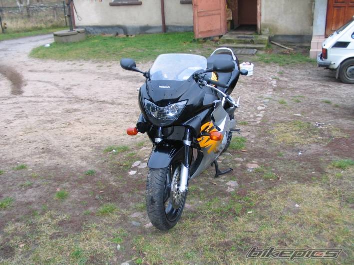 Photo 279869