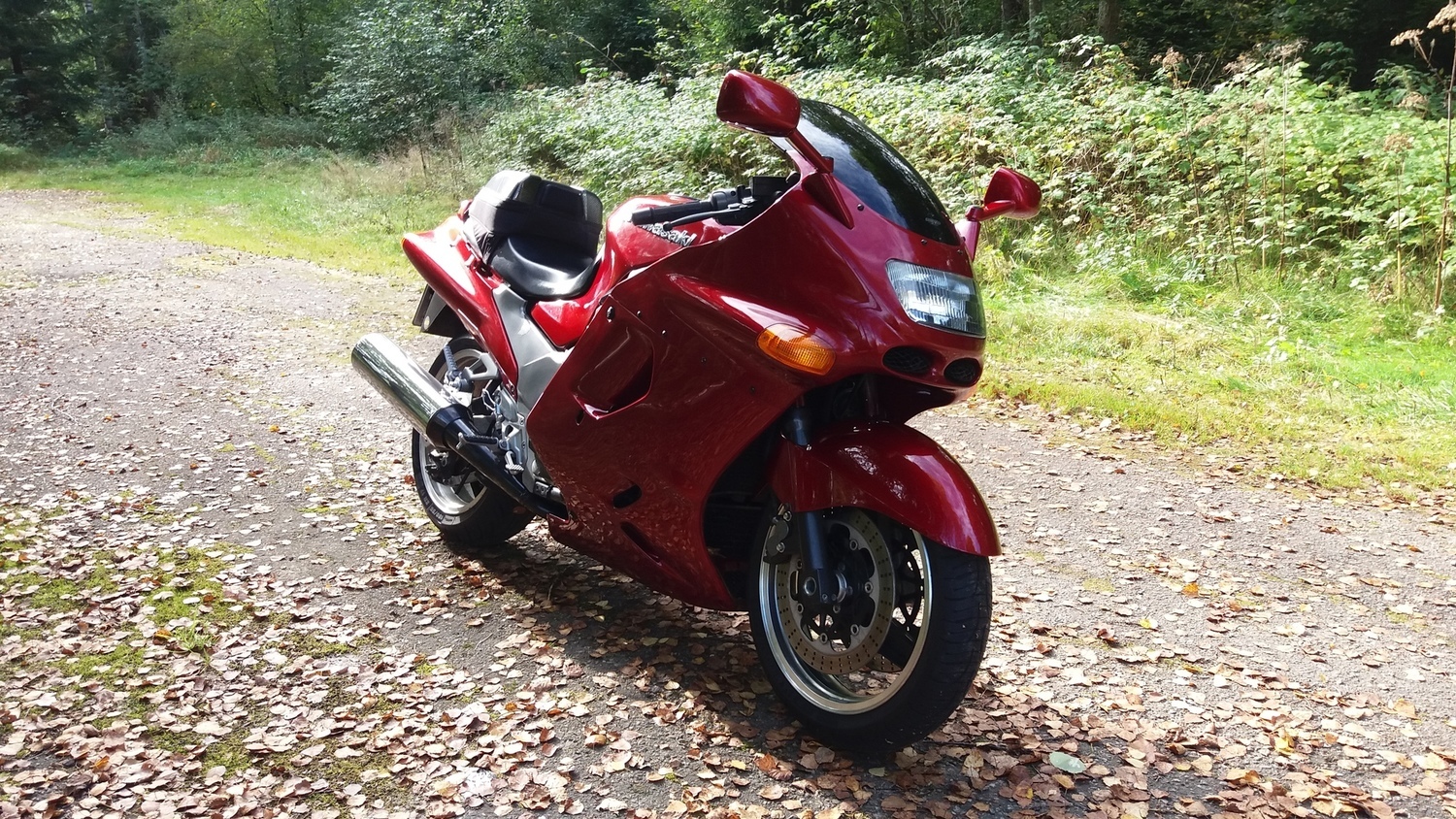 Photo 2798758