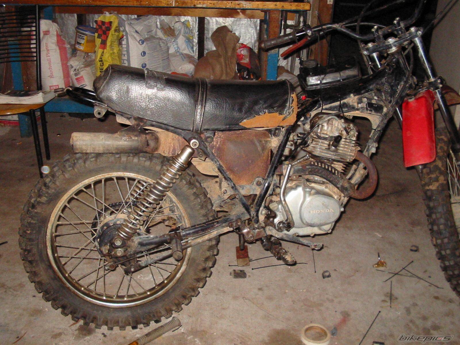 Photo 279879
