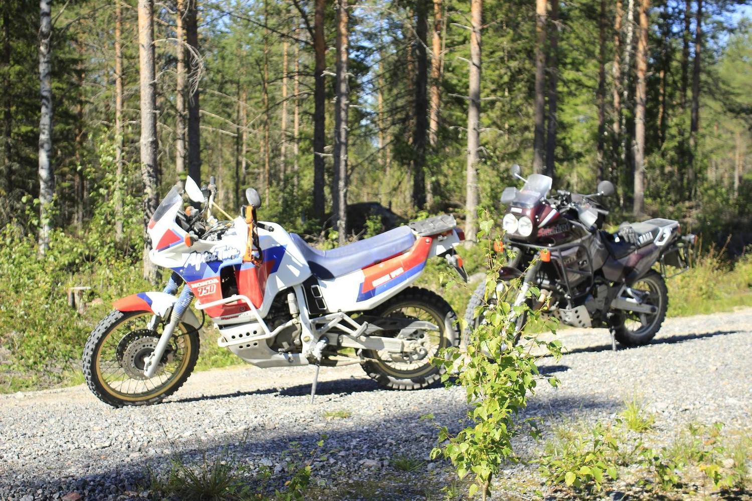 Photo 2798930
