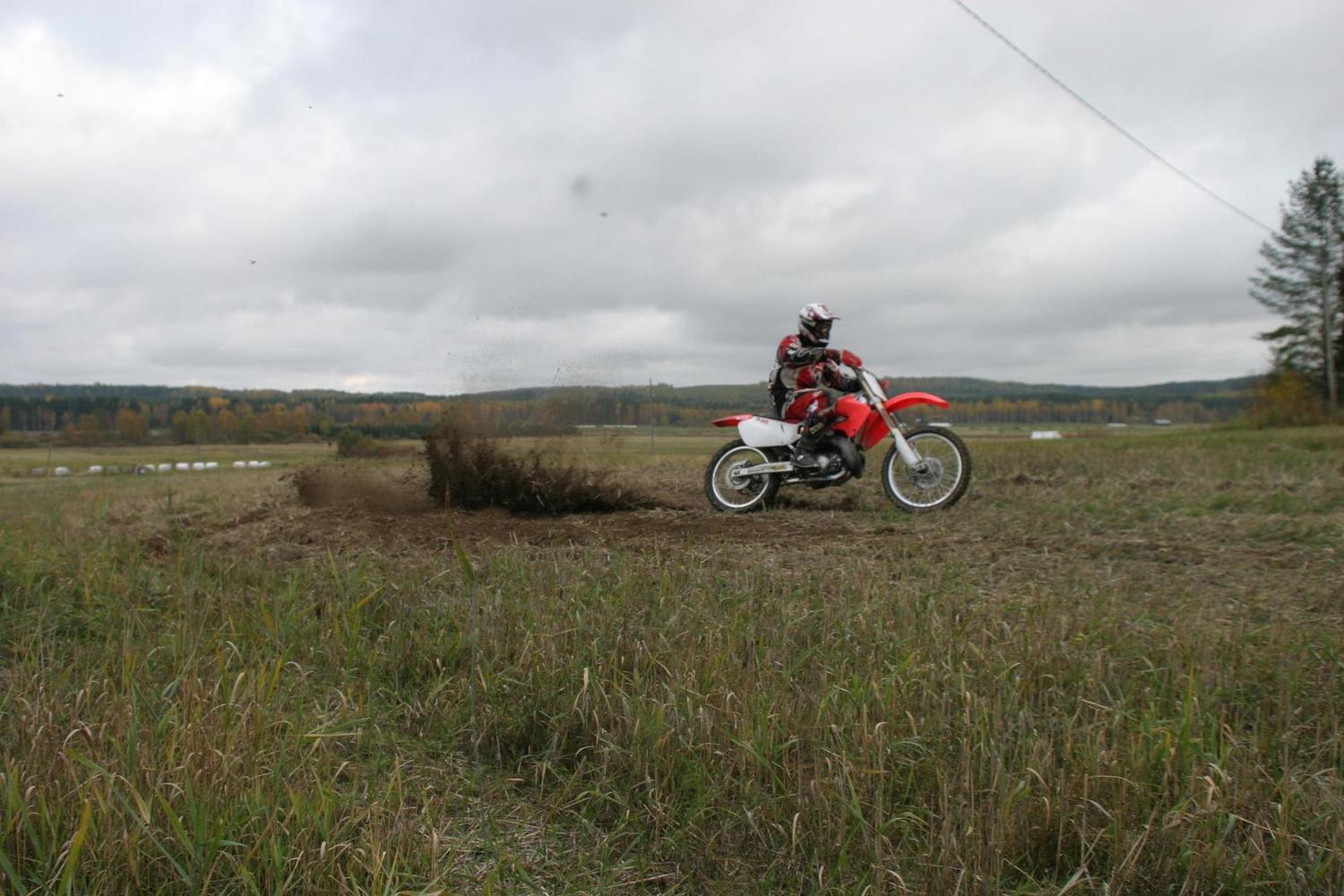Photo 2798933