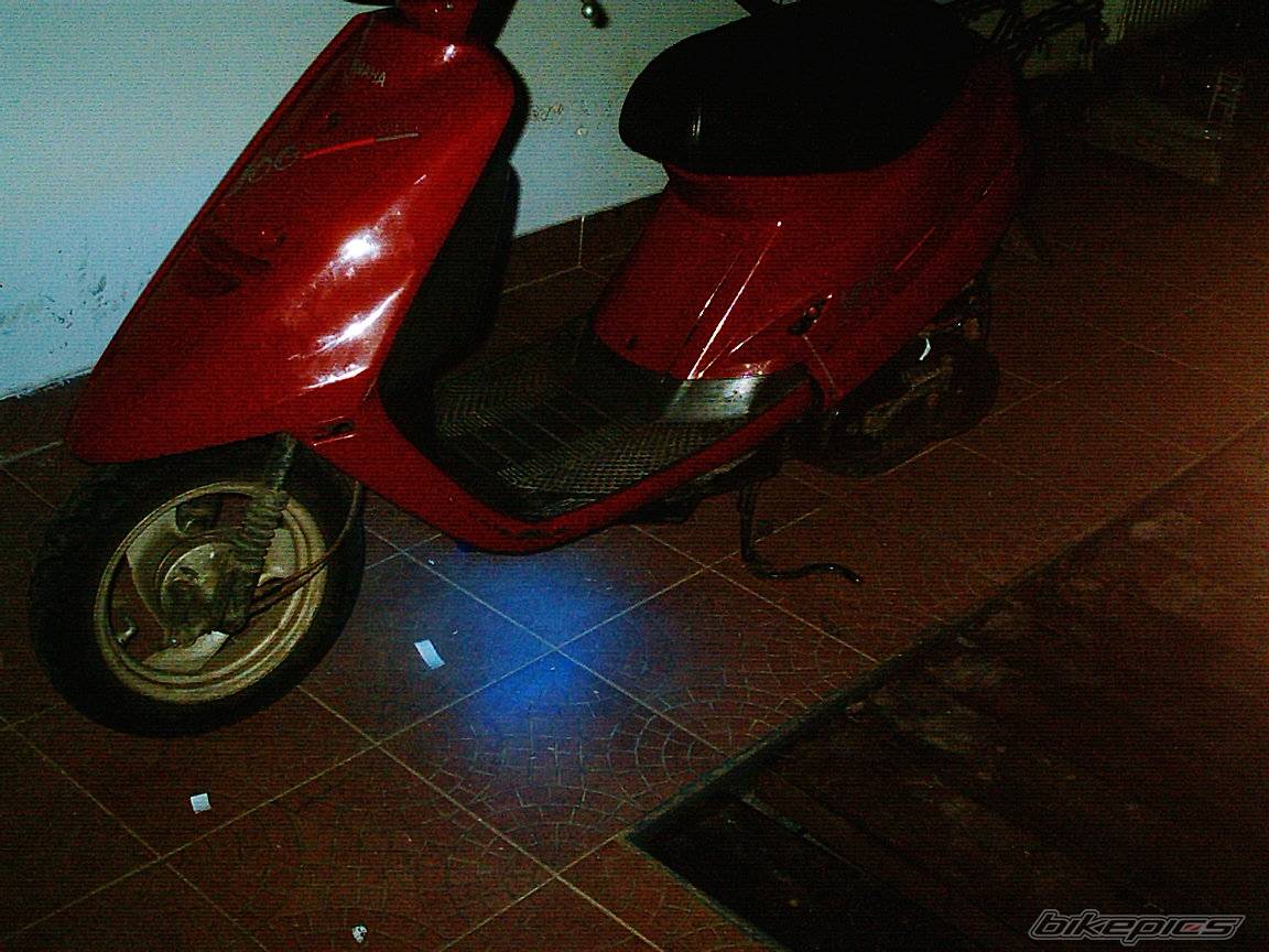 Photo 279897