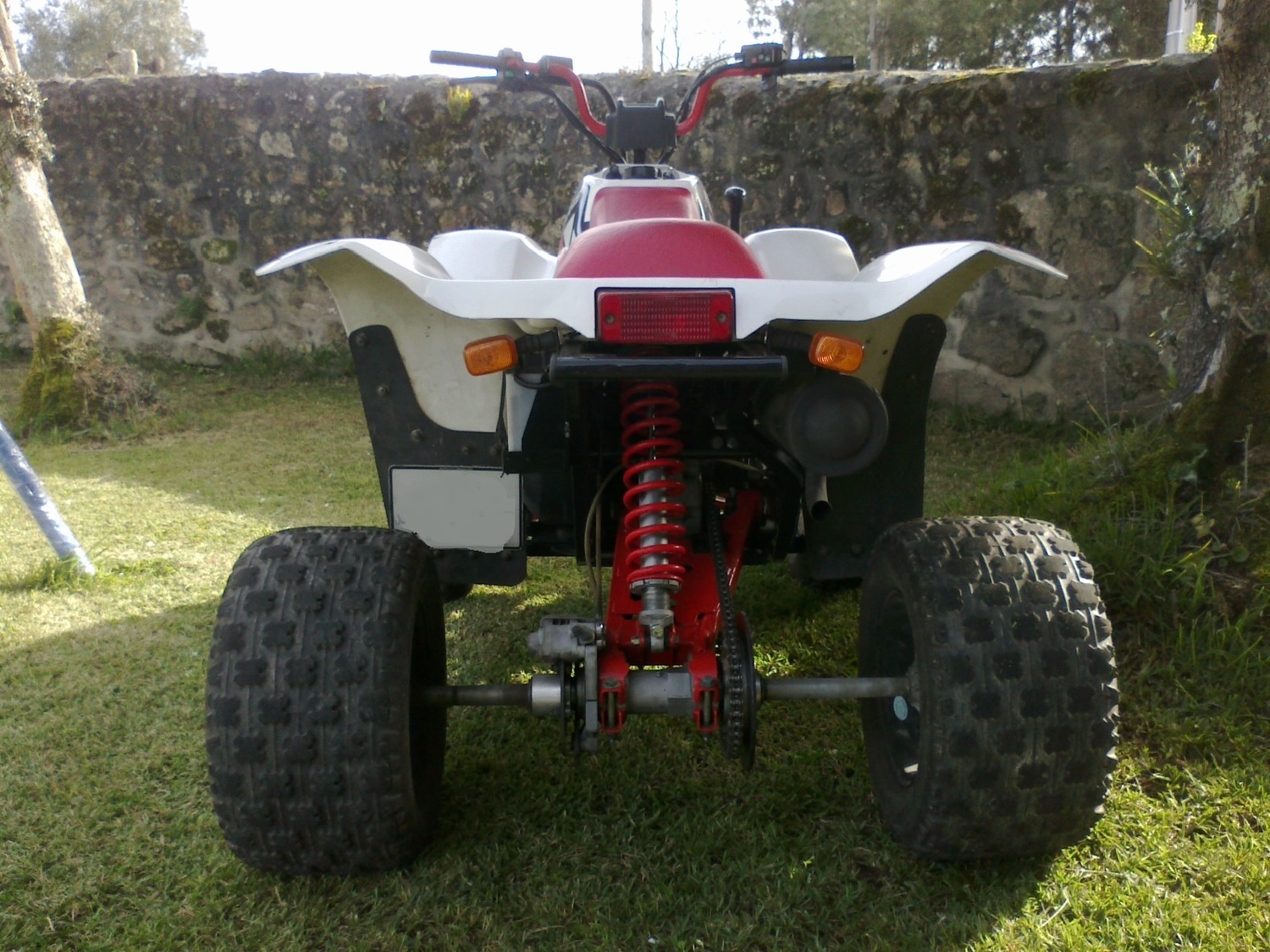 Photo 2799014