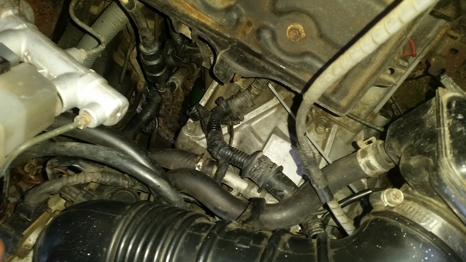 Photo 2799088