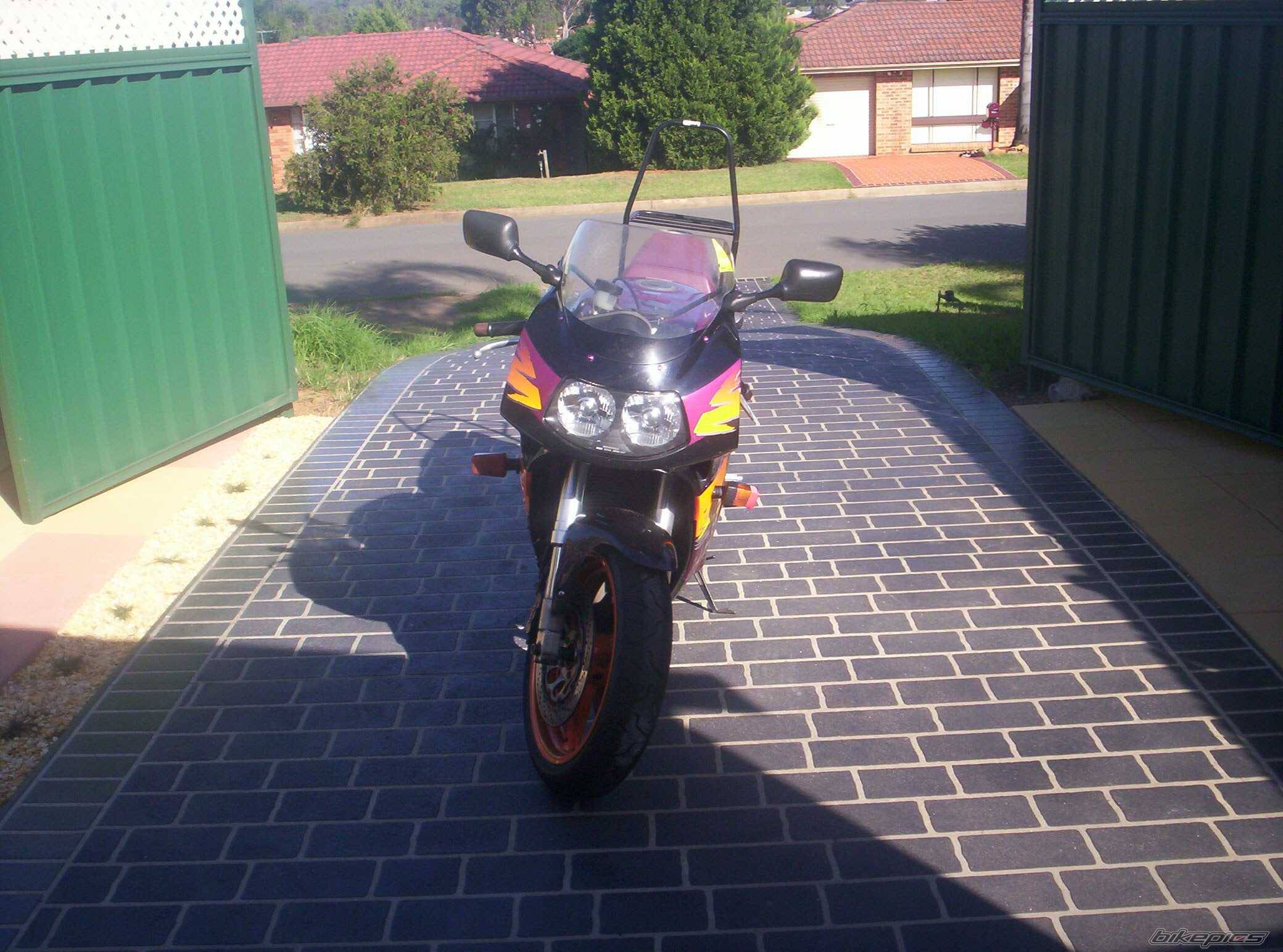 Photo 279913