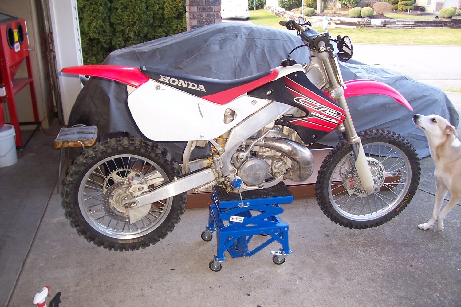 Bike Photo 2799312