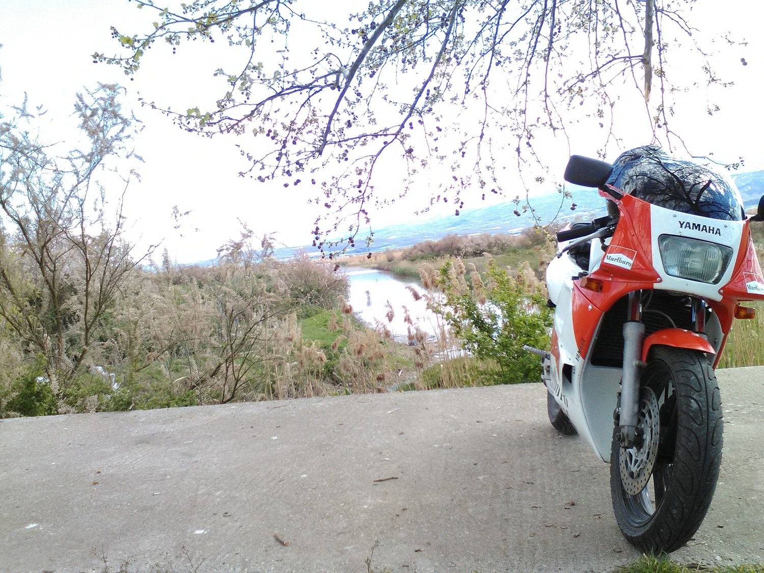 Photo 2799405