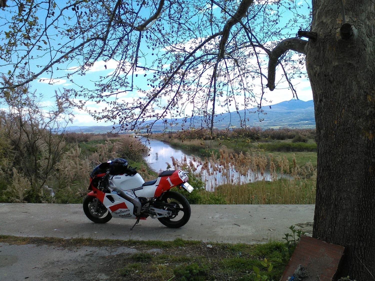 Photo 2799407
