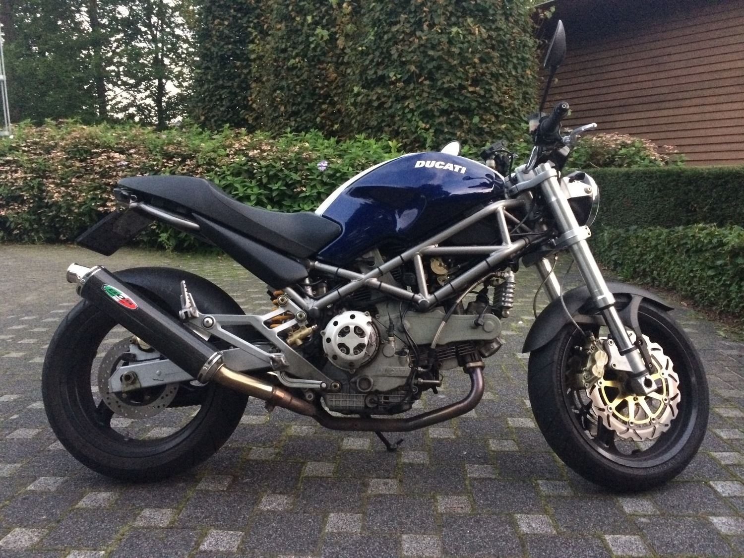 Monster 1000