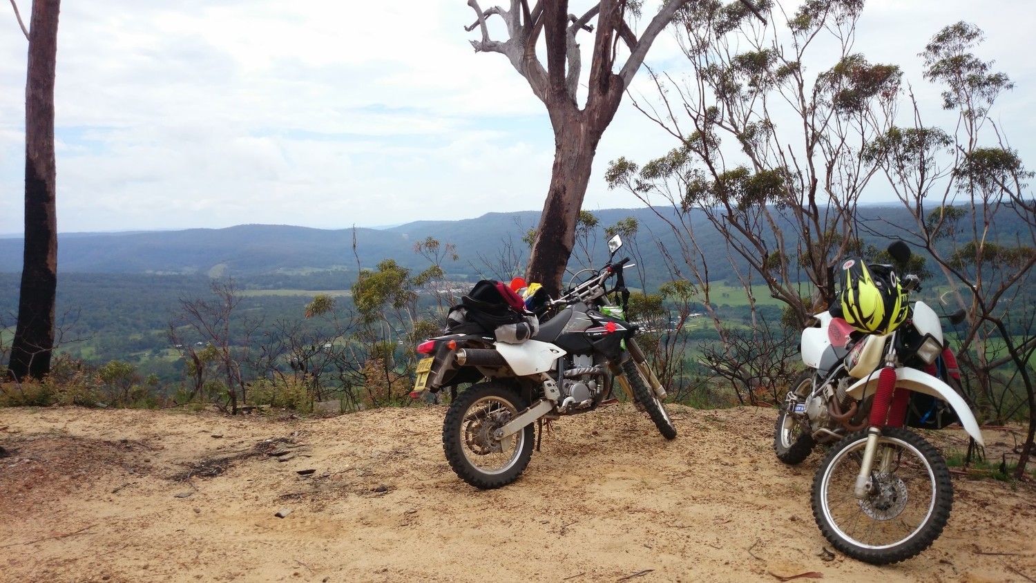 Photo 2799616