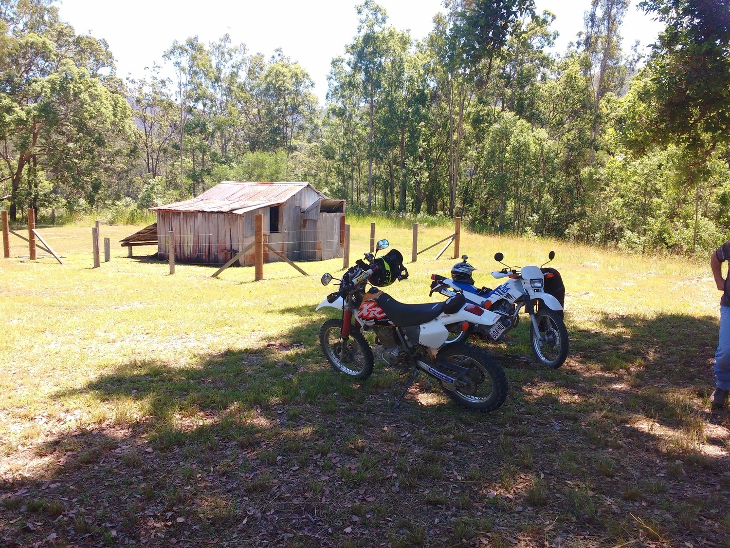 Photo 2799622