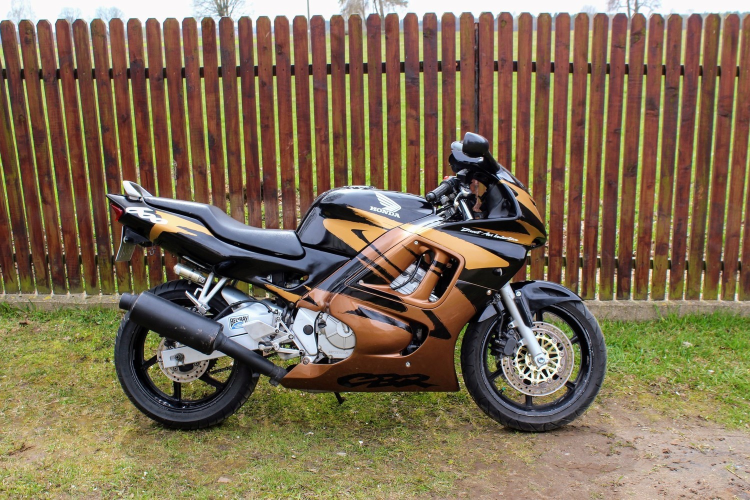 Photo 2799782