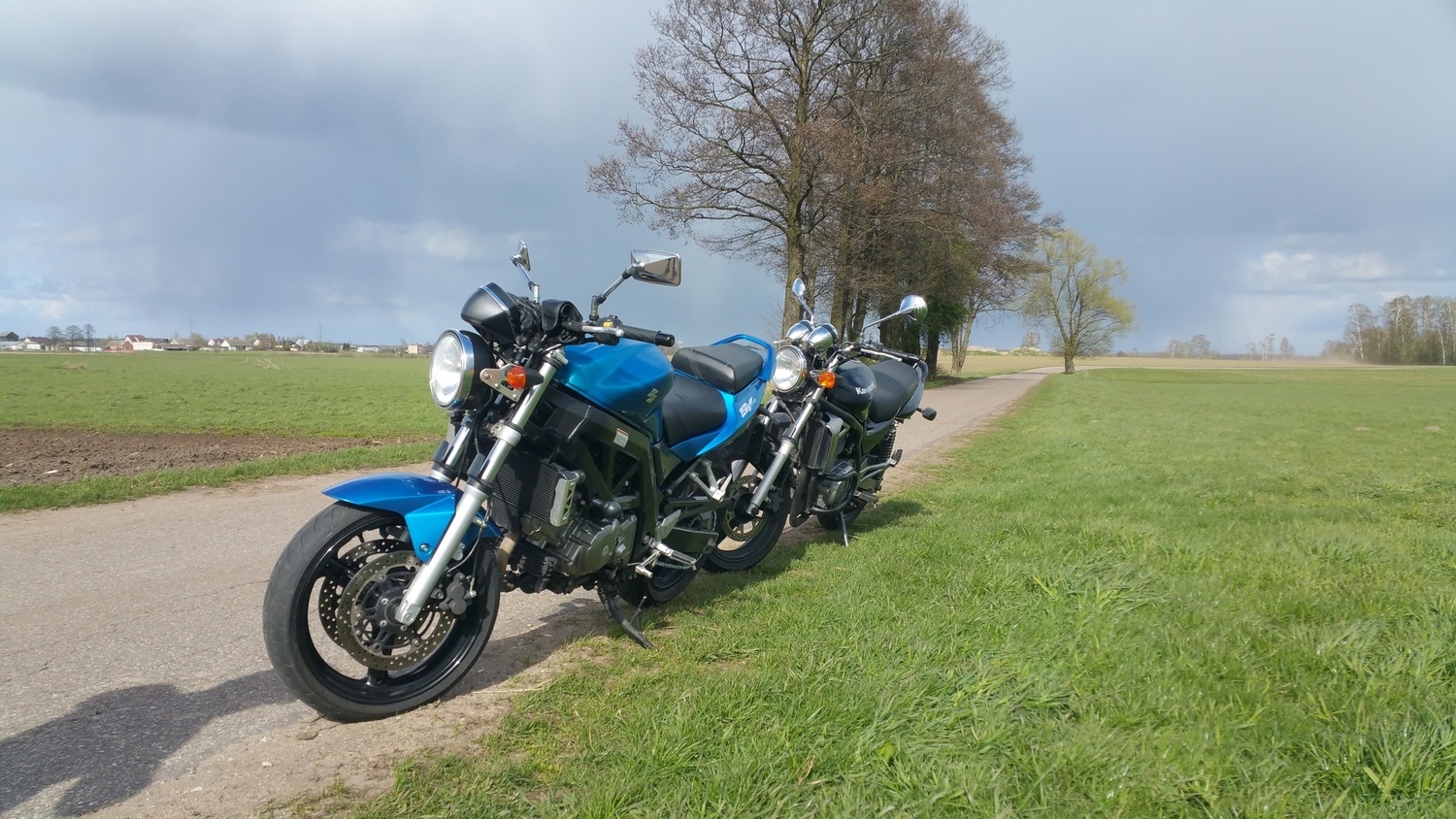 Photo 2799913