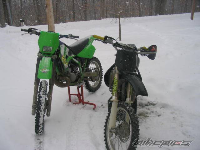 Photo 279999