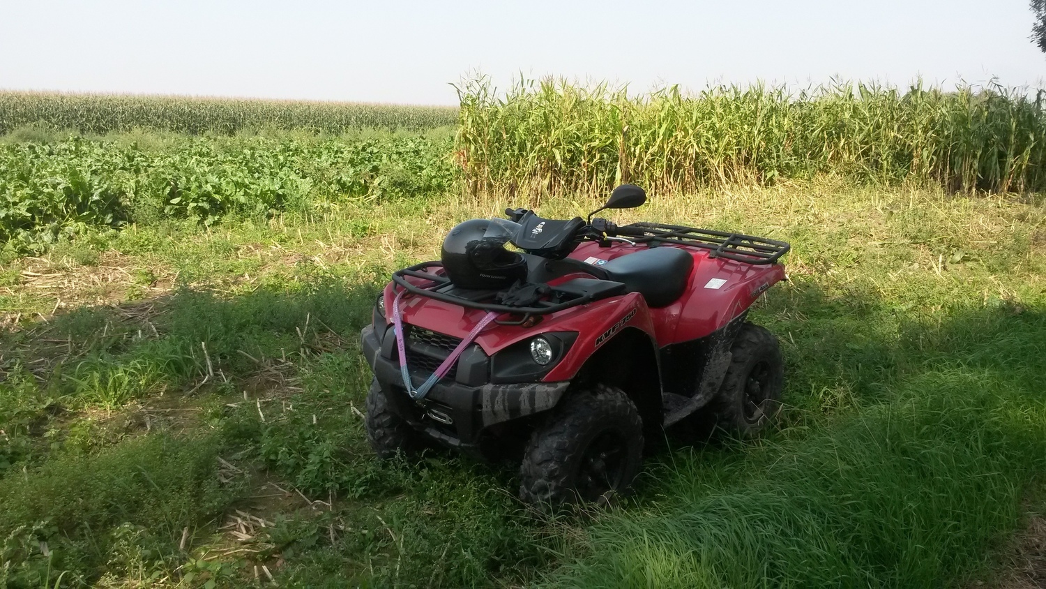 Photo 2800172