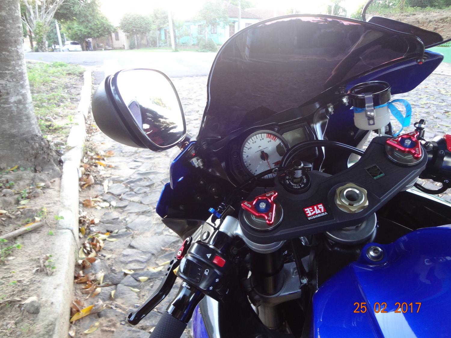 Photo 2800432