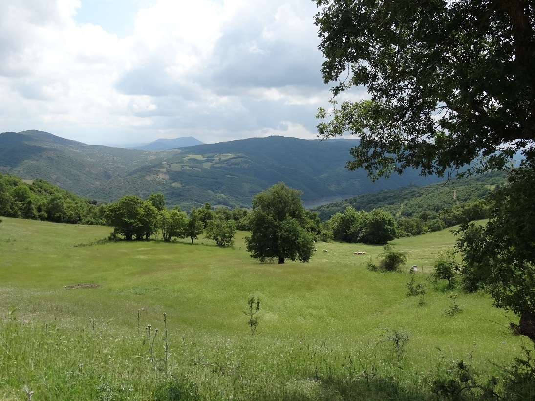 Photo 2800700