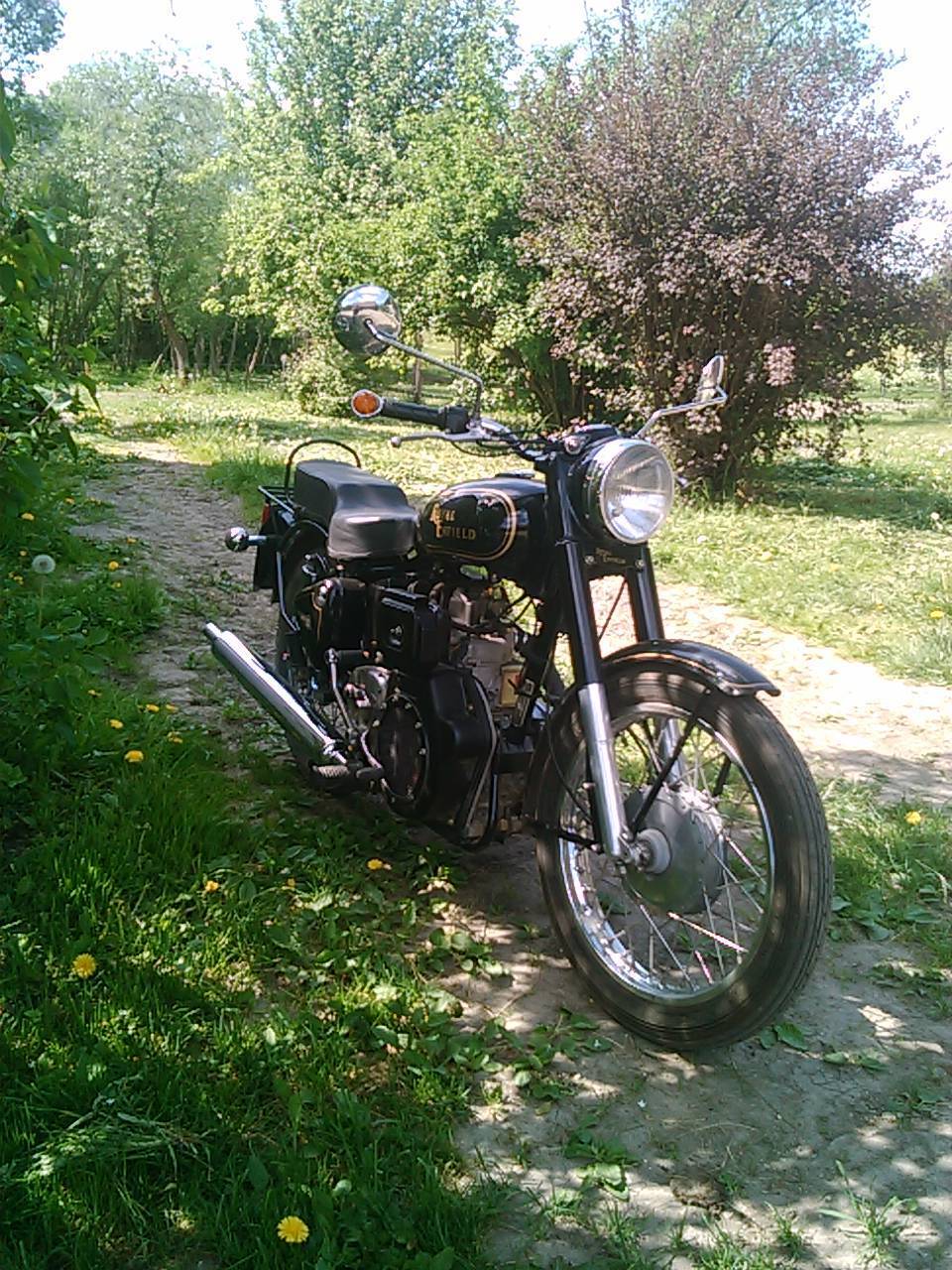 Photo 2800826