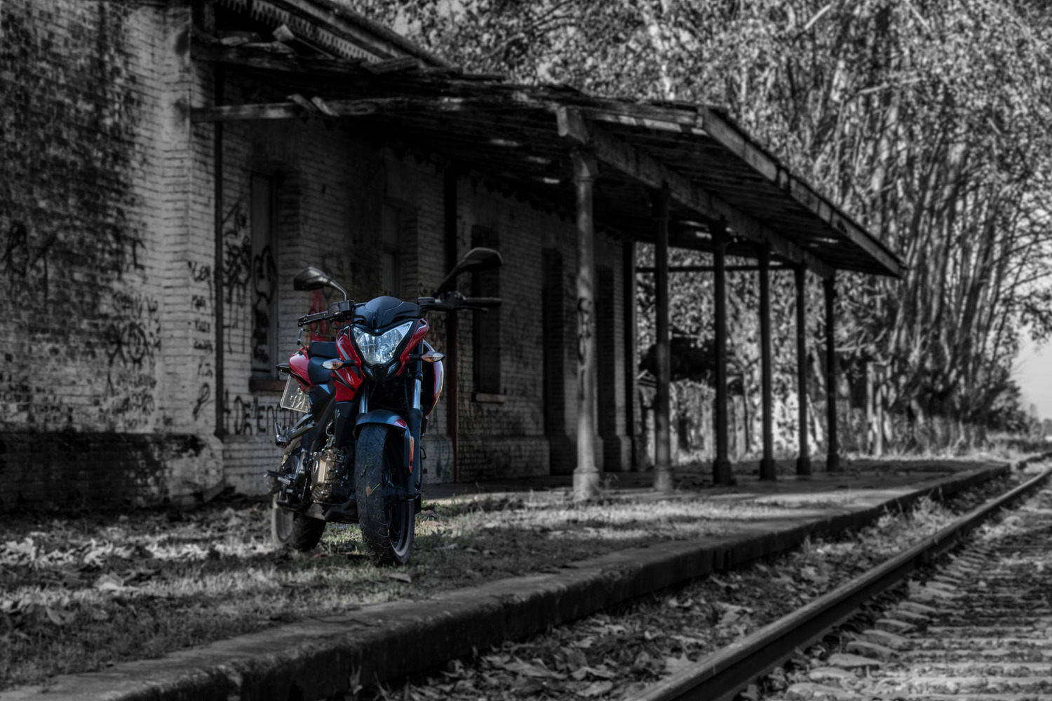 Bike Photo 2801177