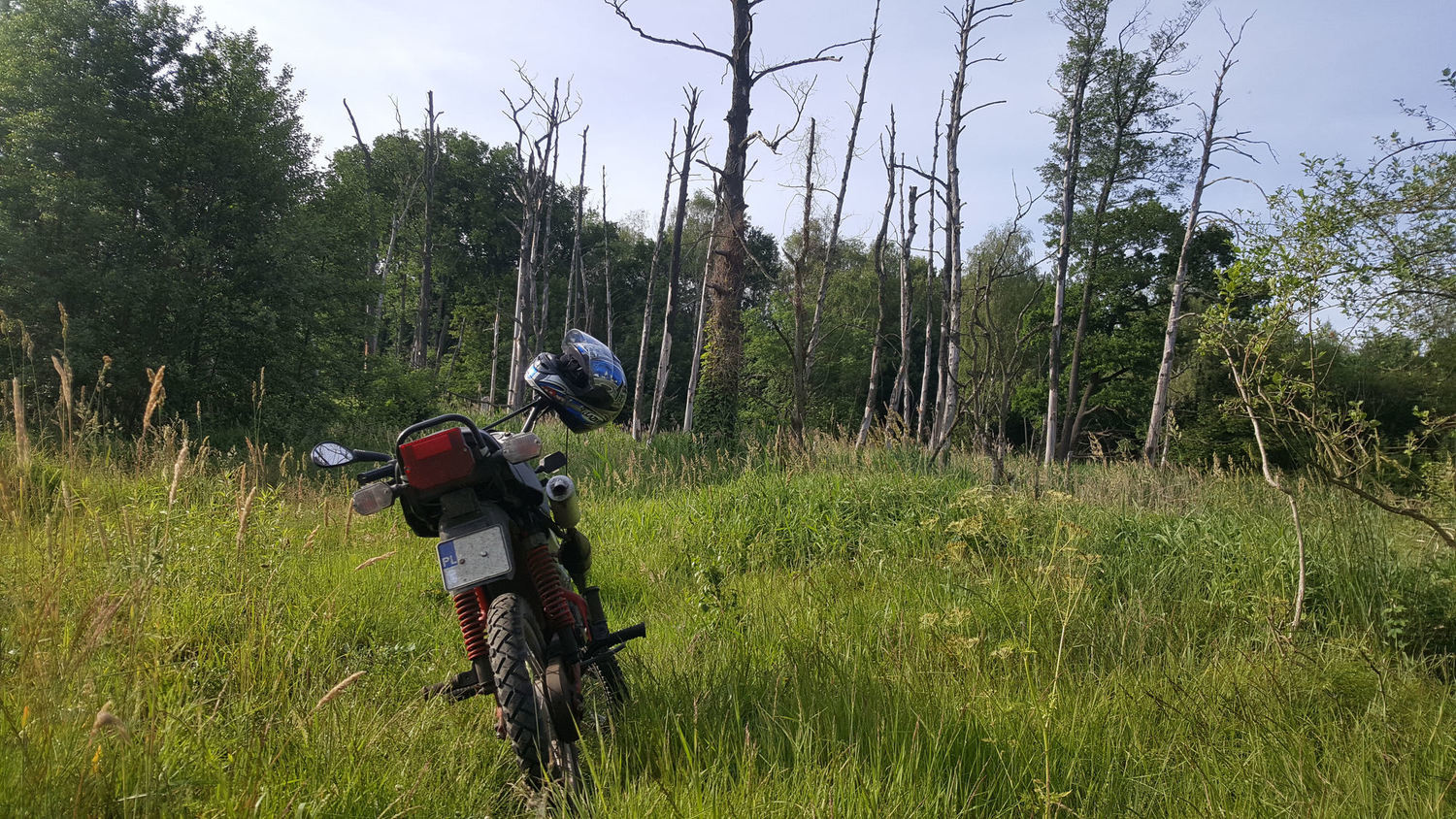 Photo 2801379