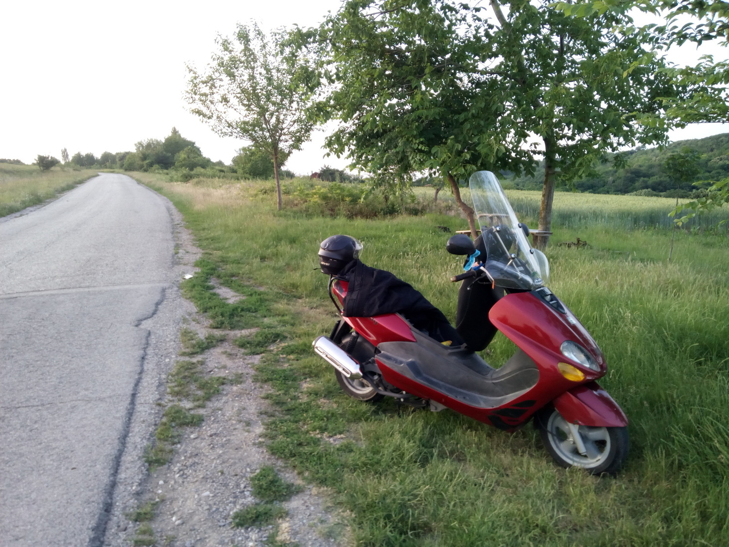 Photo 2801557