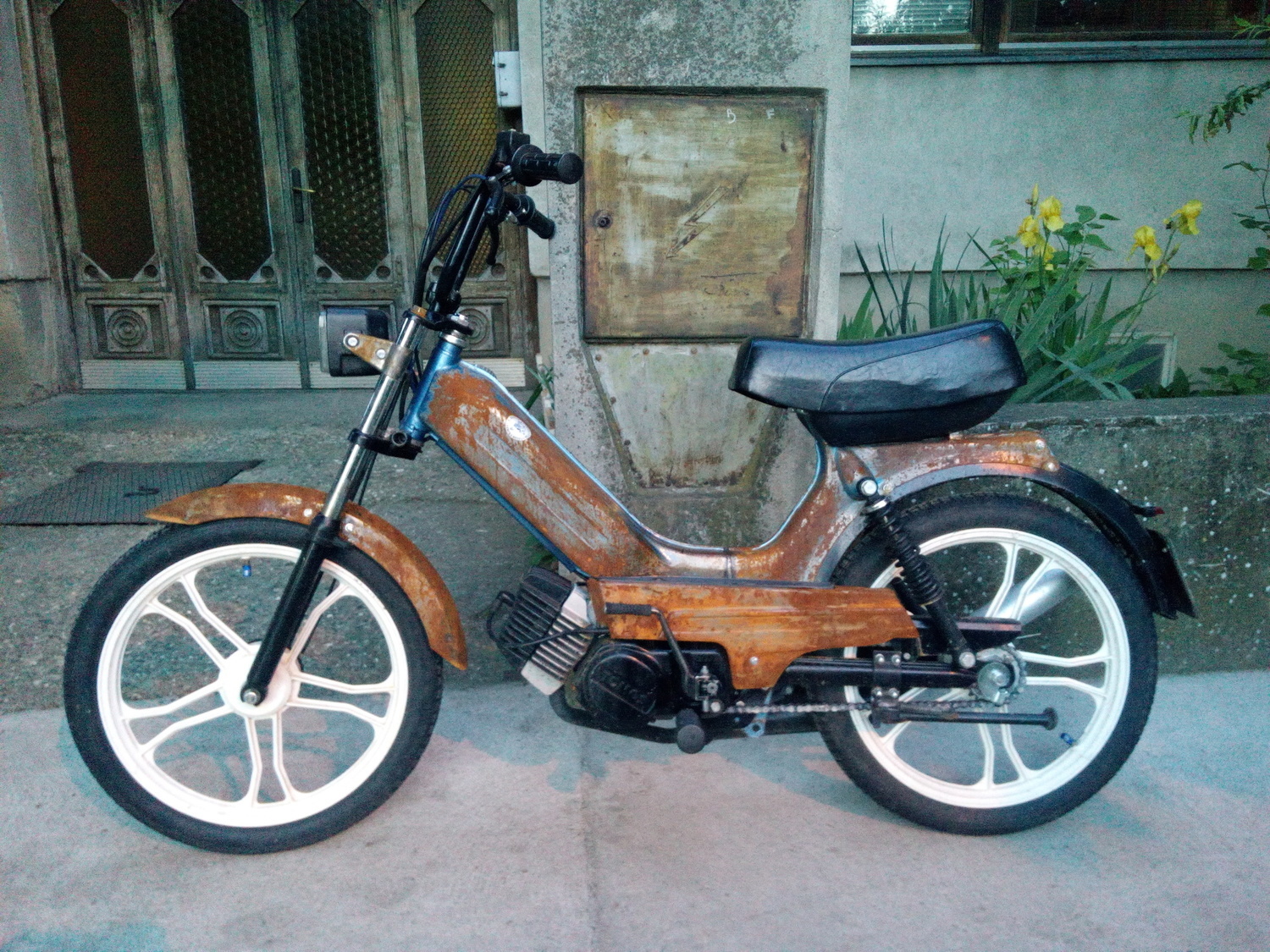 Photo 2801561