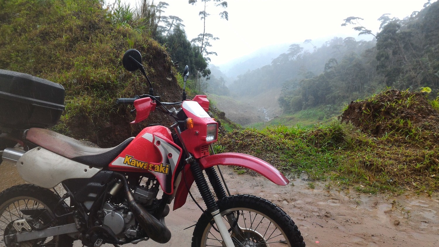 Photo 2801564