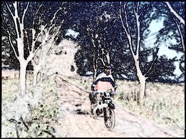 Bike Photo 2801668