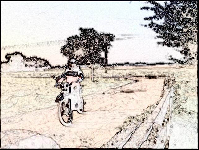 Bike Photo 2801670