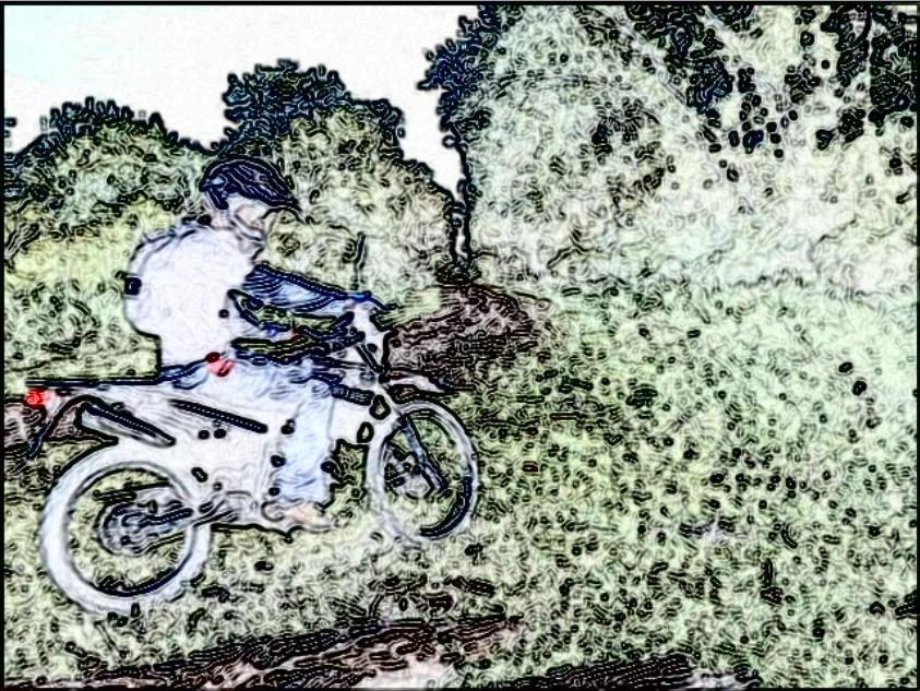 Bike Photo 2801675